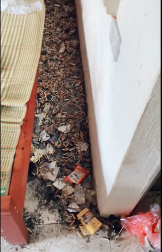 Được biết, do gia đình làm khách sạn nên cô gái sau khi bày bừa ở một phòng thì sẽ dọn sang phòng khác ở và để lại "bãi chiến trường" cho người khác dọn.