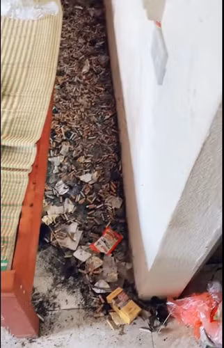 Được biết, do gia đình làm khách sạn nên cô gái sau khi bày bừa ở một phòng thì sẽ dọn sang phòng khác ở và để lại "bãi chiến trường" cho người khác dọn.