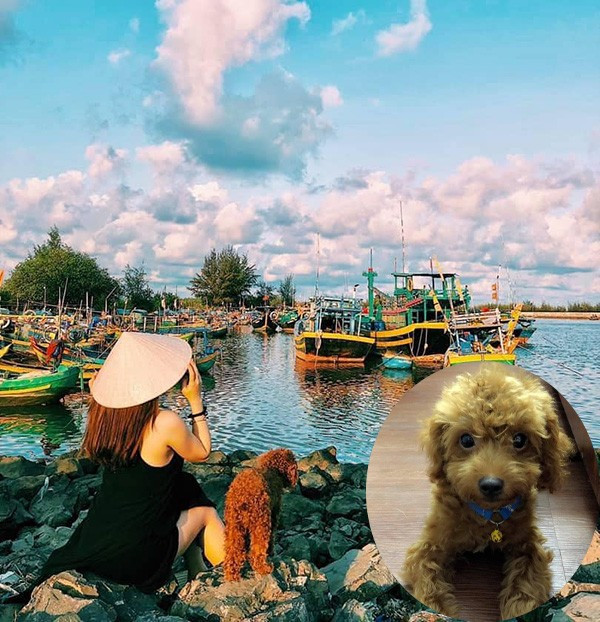 Theo đó vợ cũ bức xúc chia sẻ trên trang cá nhân cho rằng Cường Tráng Sĩ nói không giữ lời. Đồng thời chị này nói về chú chó tên Đô. Theo H.L chú chó này là của cô, nhưng mẹ chồng đã lén mang đưa cho con gái ruột ở quê bán lấy tiền.