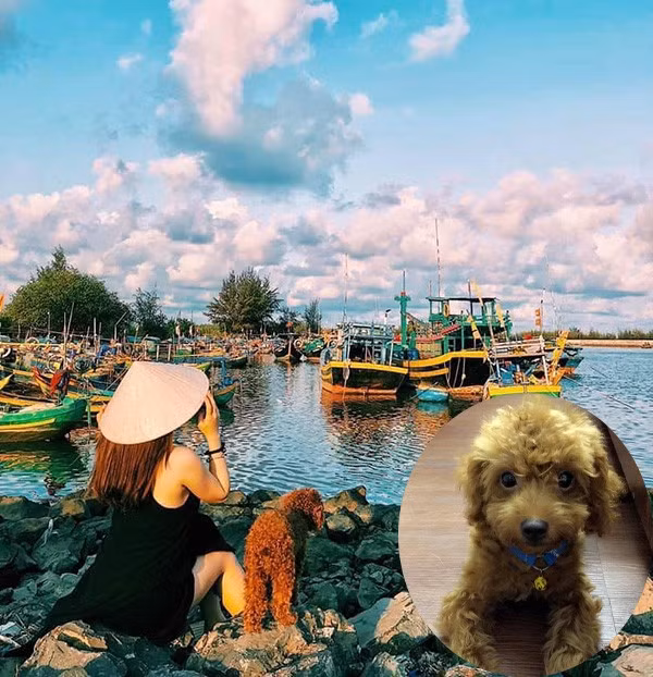 Theo đó vợ cũ bức xúc chia sẻ trên trang cá nhân cho rằng Cường Tráng Sĩ nói không giữ lời. Đồng thời chị này nói về chú chó tên Đô. Theo H.L chú chó này là của cô, nhưng mẹ chồng đã lén mang đưa cho con gái ruột ở quê bán lấy tiền.