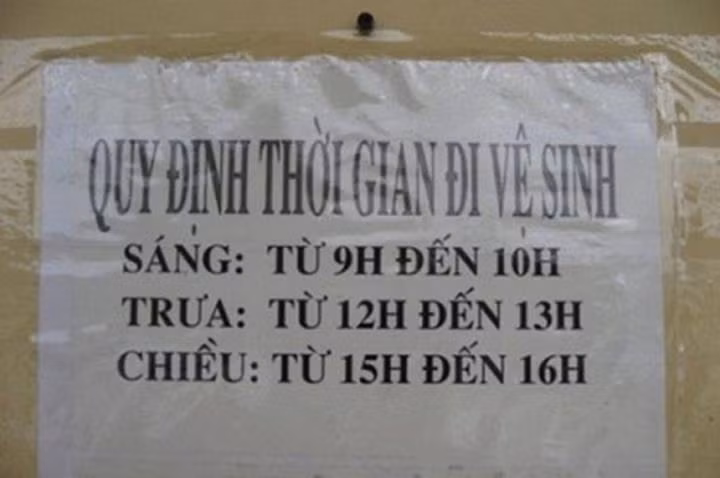 Thời gian biểu đi vệ sinh này không dành cho những người thường xuyên bị "Tào tháo đuổi".