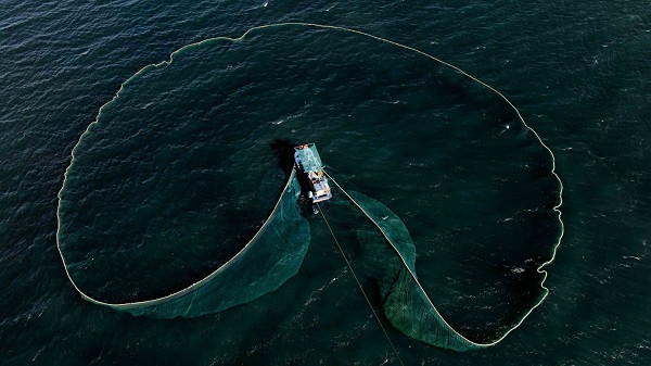 Ngam Viet Nam tu tren cao qua de cu ‘Top 7 An tuong Viet Nam’-Hinh-4