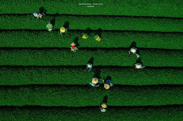 Ngam Viet Nam tu tren cao qua de cu ‘Top 7 An tuong Viet Nam’-Hinh-2