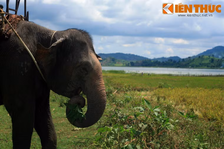 Thế rồi một chàng trai M'nông được sinh ra trong rừng ở phía thượng nguồn, từ một cuộc tình vụng trộm giữa một sơn nữ M'nông với thần lửa, quyết chuộc tội cho mẹ bằng cách ra đi tìm nguồn nước cứu dân làng.