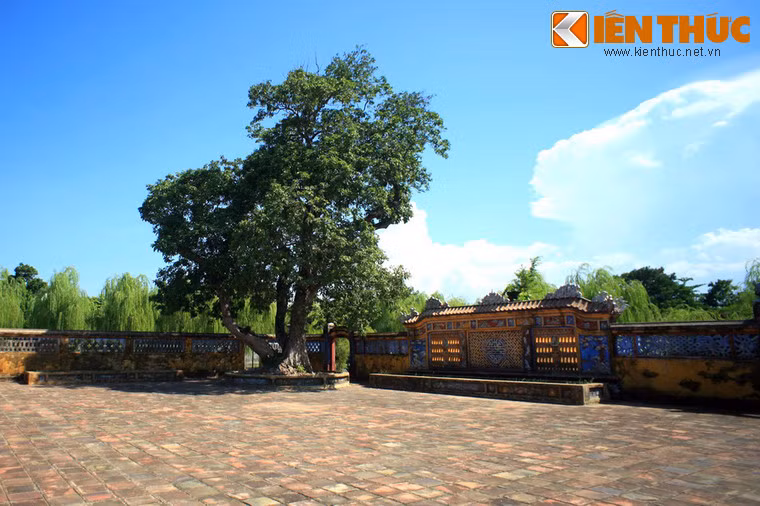 Năm 2005, dự án phục hồi Cung Trường Sanh được tiến hành. Công trình hoàn thành vào năm 2007 với việc tu bổ 4 gian nhà trong cung, phục hồi lạch Đào Nguyên, các hòn non bộ, hồ Tân Nguyệt, vườn cảnh, tường thành, cổng hoàng cung, đồng thời lát gạch Bát Tràng trong sân của toàn cung.