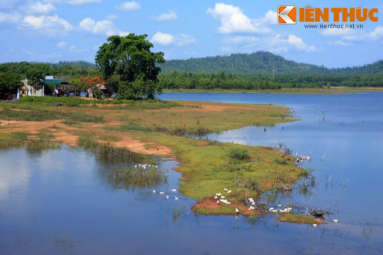 Khu vực ven hồ là nơi sinh sống của nhiều hộ dân với nghề đánh bắt cá, chăn nuôi gia súc, gia cầm...