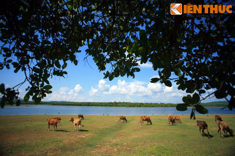 Hồ nước tuyệt đẹp này đã trở thành điểm đến ưa thích của nhiều người du khách khi ghé thăm mảnh đất Đắk Lắk.