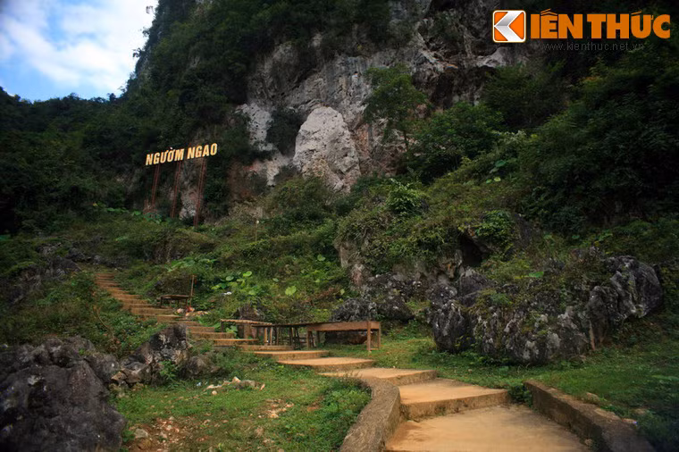 Động được người dân địa phương phát hiện năm 1921, nhưng đến 1996 mới được tỉnh khai hoang, đầu tư cơ sở hạ tầng khai thác du lịch. Tên gọi Ngườm Ngao tiếng dân tộc Tày có nghĩa là hang Cọp.