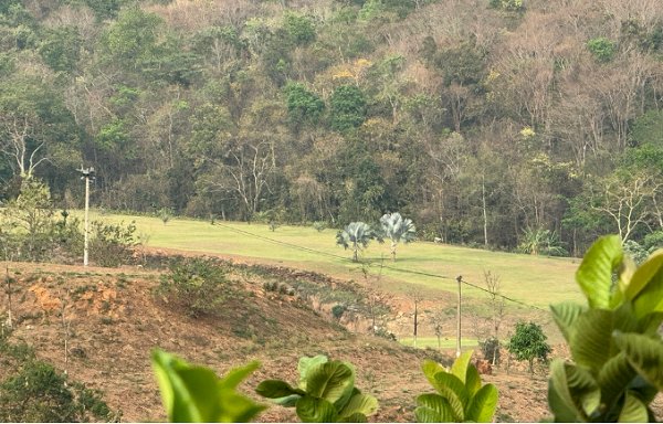 Giam doc chi nhanh ngan hang lam san golf mini tren dat rung de giai tri?-Hinh-2