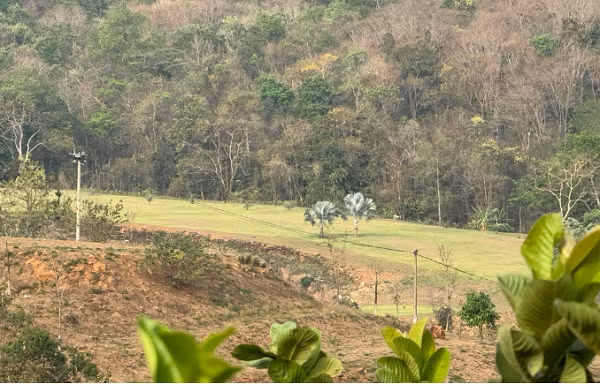 Giam doc chi nhanh ngan hang lam san golf mini tren dat rung de giai tri?-Hinh-2