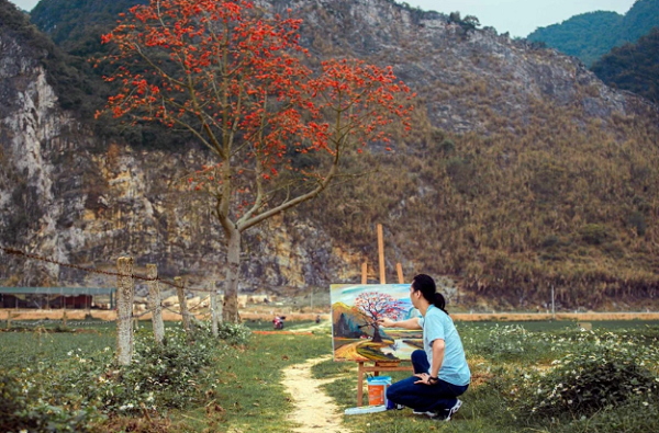 Cây gạo mùa trổ bông cũng là nguồn cảm hứng cho những hoạ sĩ để tạo ra những tác phẩm tuyệt vời. (Ảnh- Rạng Đông). 