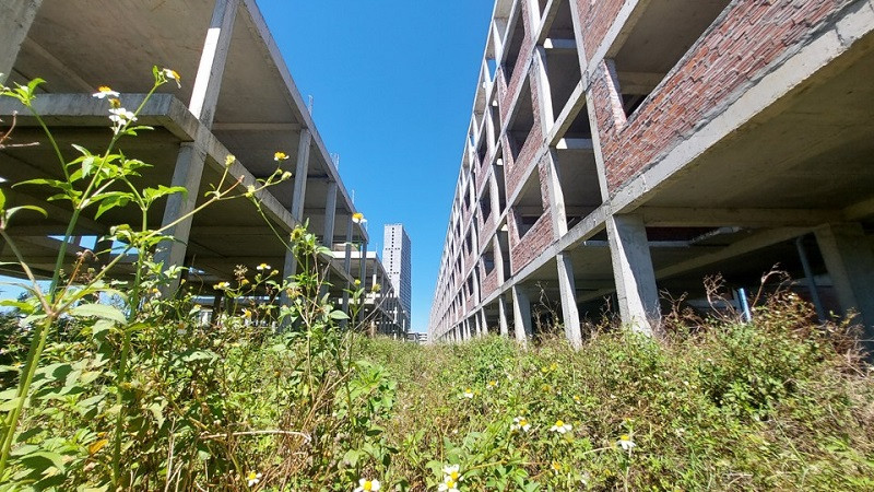 Cỏ dại mọc um tùm, trở thành nơi trú ngụ của rắn rết, chuột bọ. Ảnh: Kinh tế đô thị. 