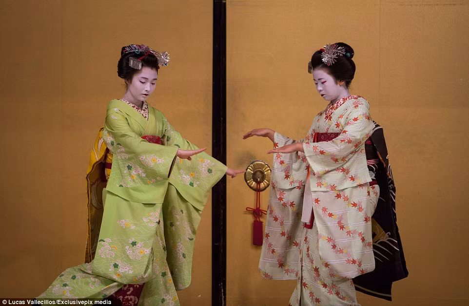 Các geisha tập sự phải mất nhiều năm ròng học múa và sử dụng các nhạc cụ cũng như các kĩ năng khác để hội tụ đủ tiêu chuẩn làm một geiko.