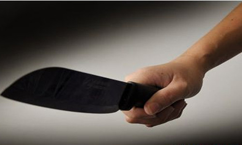 Kinh hoang chong dung tua vit kich dien giet vo o Hai Duong