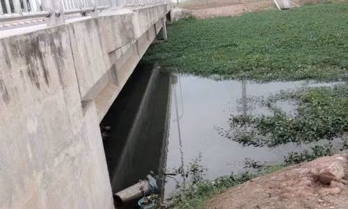 Xac nguoi noi duoi dam nuoc chet do soc ma tuy