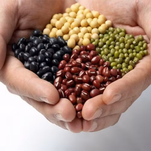 Ngũ cốc còn chứa các vitamin nhóm B, axit folic và sắt dồi dào nên rất tốt cho phụ nữ mang thai. (Nguồn Lamkieuspa)