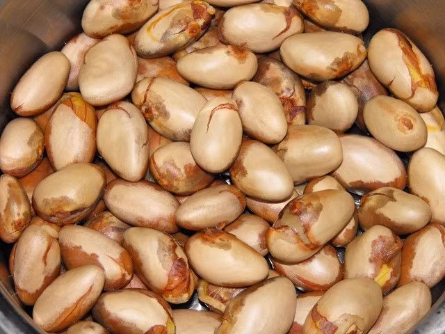 Hạt mít là một trong các loạt hạt thường được vất bỏ sau khi ăn mít. Việc hạt mít ăn được không còn xa lạ với nhiều người nhưng có thể vì tác dụng phụ “xấu hổ” của nó mang lại nên người ta thường vứt bỏ. Mặc dù vậy, đây lại được coi là loại hạt thần kỳ chữa được bách bệnh. (Ảnh: Baoxaydung) 