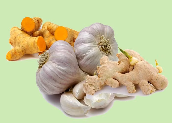 Tỏi, nghệ, gừng. Dùng 400g tỏi đã bóc vỏ và rửa sạch, 400g đường nâu, 2 thìa cà phê bột nghệ, vài lát gừng tươi. Cho đường nâu và nước vào trong nồi, bắc lên bếp đun sôi. Sau đó, cho thêm tỏi và gừng đun nhỏ lửa cho đến khi nước chỉ còn một nửa. Để nguội hoàn toàn rồi cho vào tủ lạnh để bảo quản. Ảnh: Thantuong.