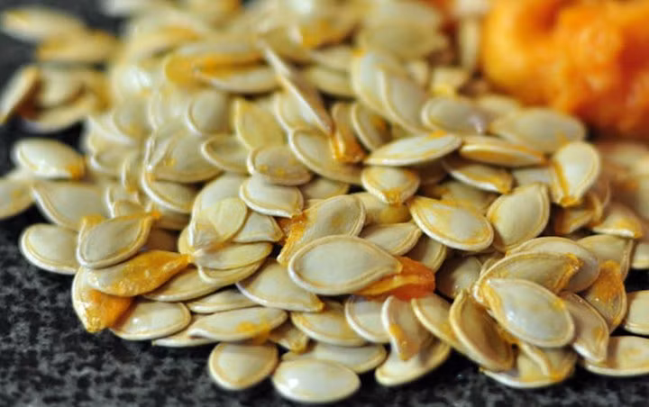 Hạt bí chứa một nguồn lớn tryptophan - một loại acid amin mà khi cơ thể hấp thu sẽ lần lượt chuyển hoá thành melatonin có tác dụng gây ngủ. Chính vì vậy mà nhiều người sử dụng hạt bí ngô như là một loại thuốc ngủ an toàn từ thiên nhiên. (Nguồn Thuocmatngu) 