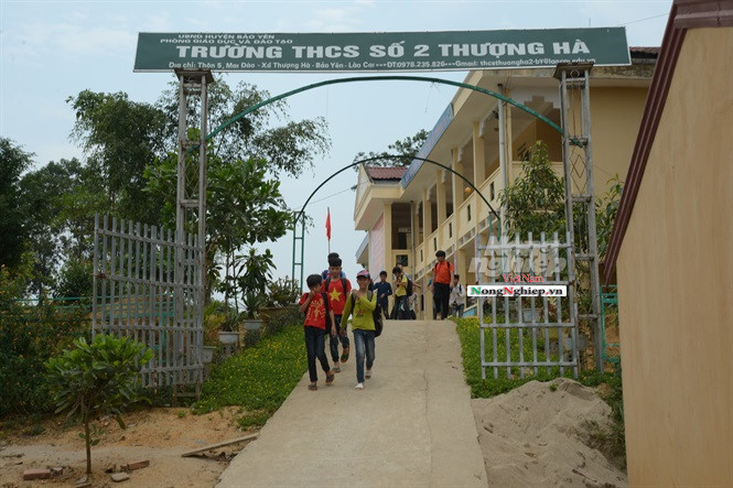 Vi sao ngay cang nhieu vu viec hoc sinh bi xam hai tinh duc?