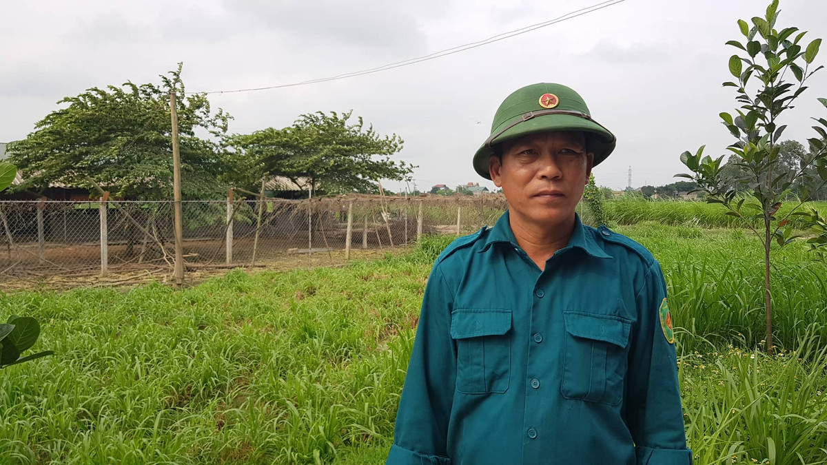 Dich ta lan rong, Hai Duong khoanh vung, dap dich ta lon Chau Phi-Hinh-5