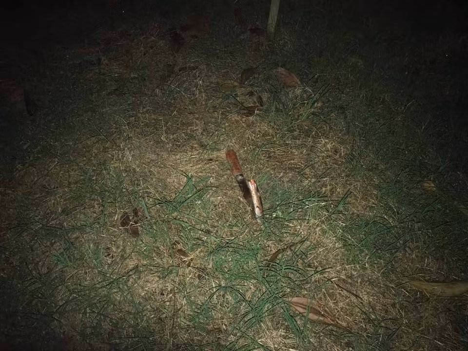 Dung dao bau dam ban gai roi cat co, uong thuoc diet co tu sat