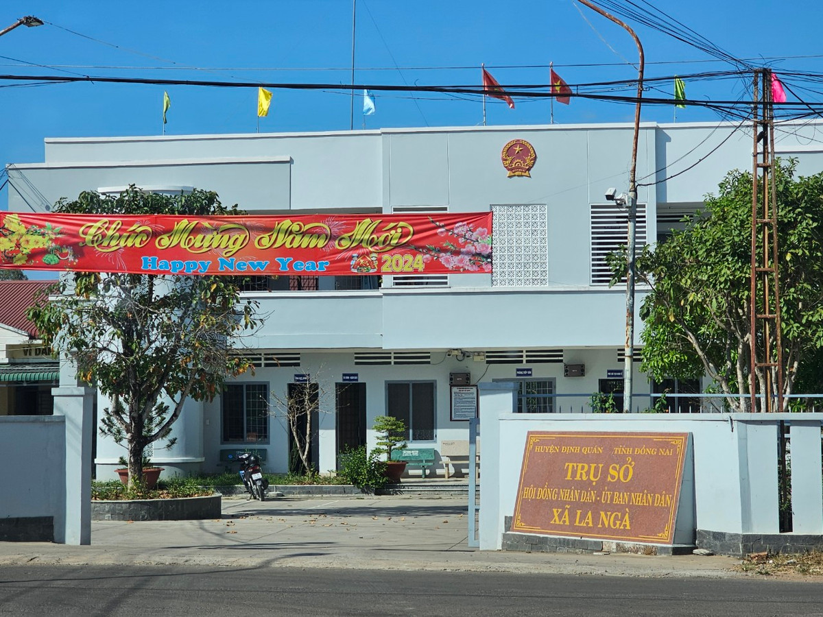 Dong Nai: Mot ngay Cty Dinh Binh trung 2 goi thau tai xa La Nga?-Hinh-2