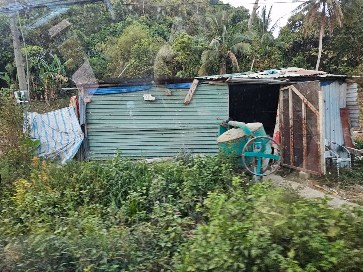 Đồng Nai: Cận cảnh dự án công viên cây xanh Đồi 112 Định Quán - Hình 8 Dong Nai: Can canh du an cong vien cay xanh Doi 112 Dinh Quan-Hinh-8