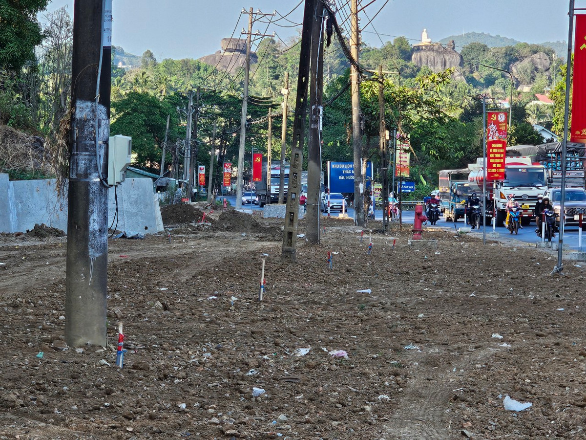 Dong Nai: Can canh du an cong vien cay xanh Doi 112 Dinh Quan-Hinh-2