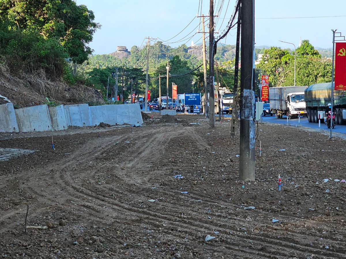 Dong Nai: Can canh du an cong vien cay xanh Doi 112 Dinh Quan-Hinh-4