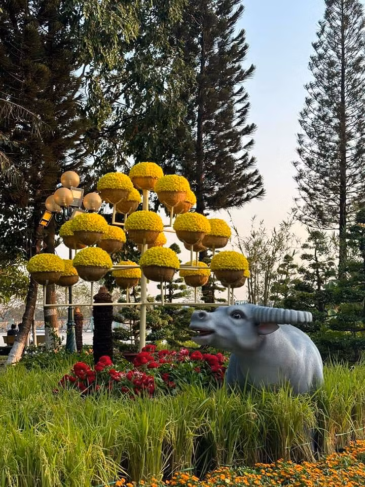 Dong Nai: Duong hoa Nguyen Van Tri hon 8 ty co gi?-Hinh-12