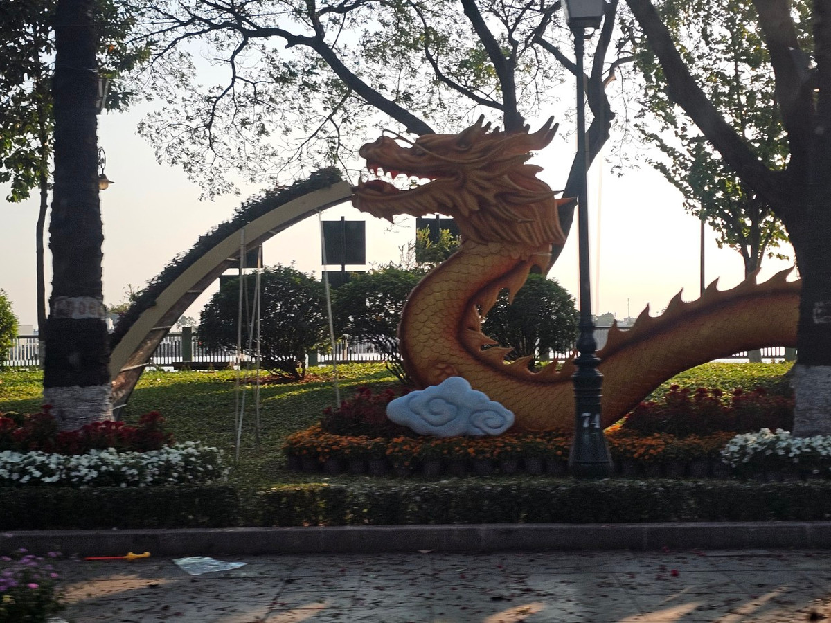 Đồng Nai: Đường hoa Nguyễn Văn Trị hơn 8 tỷ có gì? - Hình 10 Dong Nai: Duong hoa Nguyen Van Tri hon 8 ty co gi?-Hinh-10