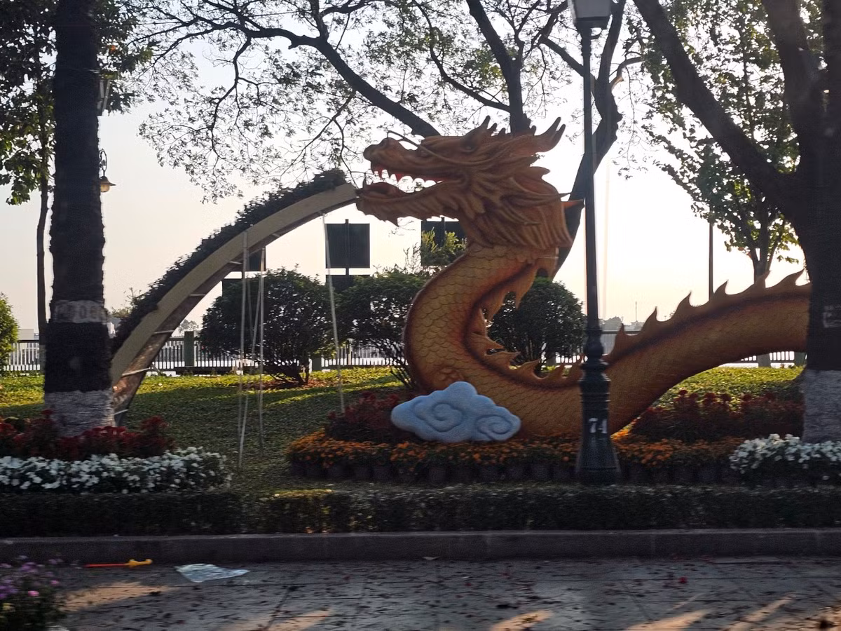 Dong Nai: Duong hoa Nguyen Van Tri hon 8 ty co gi?-Hinh-10