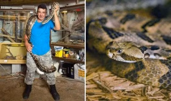 Albert Kilian đến từ bang Florida, Mỹ đang giữ khoảng 60 con rắn trong phòng ngủ của mình. Ông đặc biệt quan tâm tới loài bò sát từ khi 8 tuổi và bắt đầu sưu tầm rắn năm 20 tuổi.