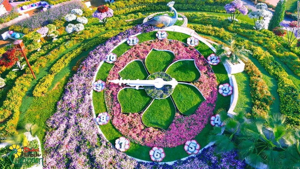 Hơn 400 người đã mất 60 ngày để hoàn thiện khu vườn khổng lồ này.