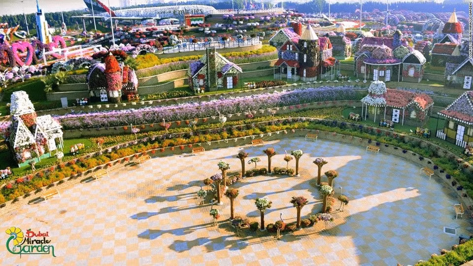 Khu vườn có hơn 60 loại hoa khác nhau.