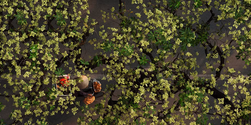 30 bức ảnh được giới thiệu với công chúng trong triển lãm lần này chỉ là một phần nhỏ trong số rất nhiều những tác phẩm chụp về Hà Nội của tay máy 39 tuổi.