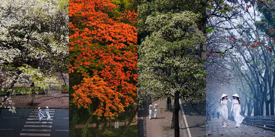 Bức ảnh Xuân - Hạ - Thu - Đông với bối cảnh thiếu nữ trong tà áo dài tung tăng trên phố của nghệ sĩ nhiếp ảnh 39 tuổi Nguyễn Xuân Chính.