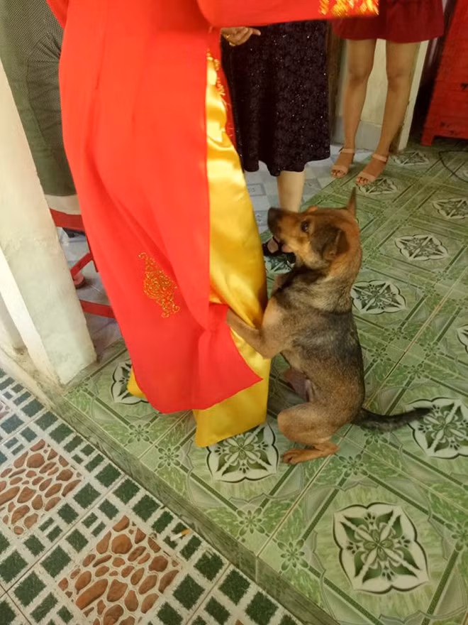 Ngay co chu lay chong, chu cho om chan khong muon roi xa-Hinh-2