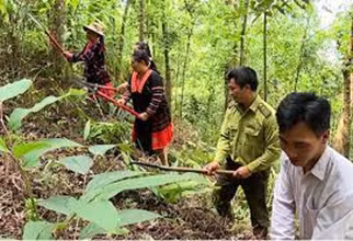 Giai quyet van de thieu dat san xuat o vung dong bao dan toc thieu so