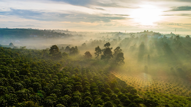 Bao Loc dang tro thanh “Paris tho mong cua Viet Nam“-Hinh-3