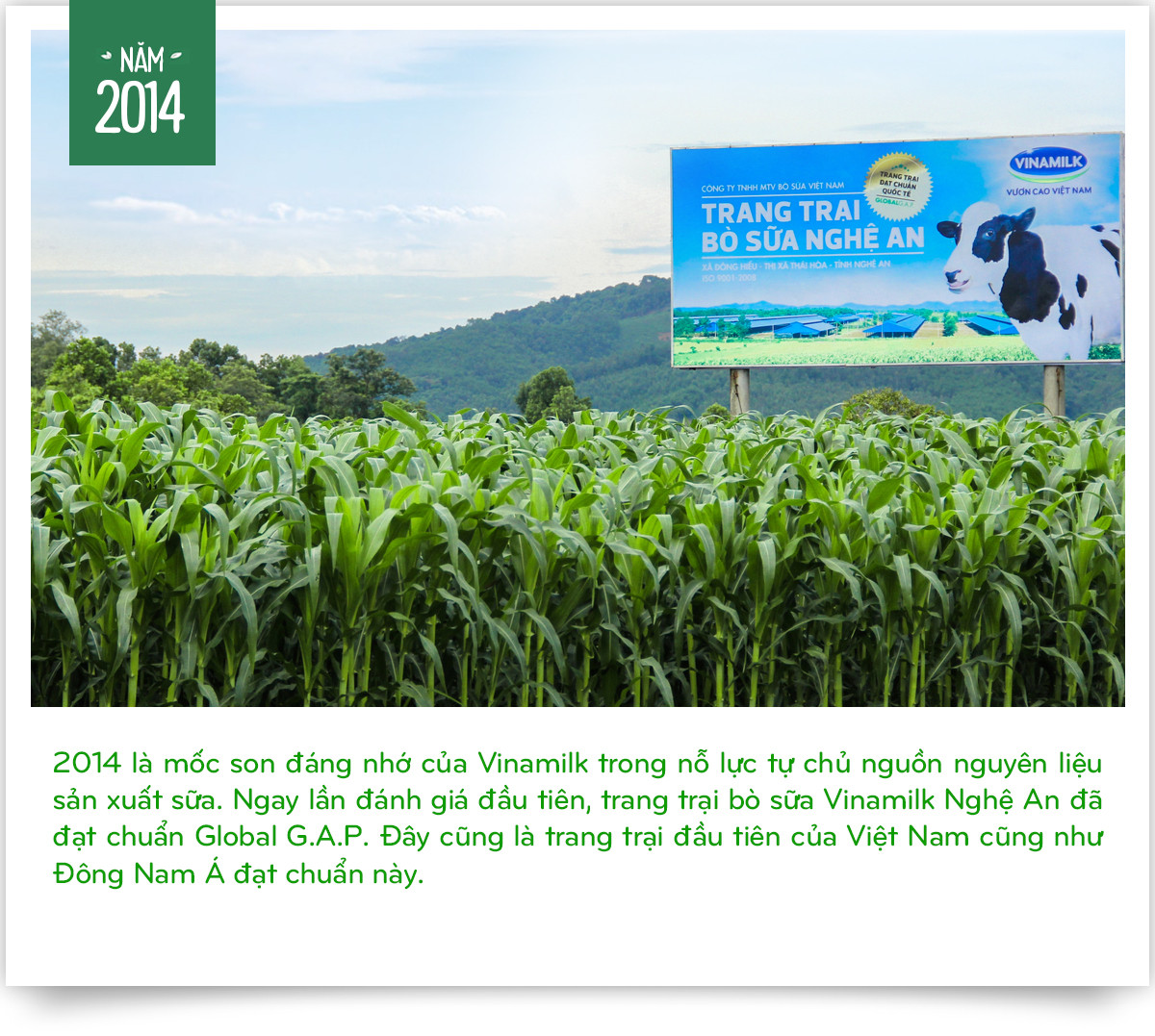 Vinamilk: 15 nam xay he thong trang trai bo sua voi “bo suu tap” tieu chuan quoc te-Hinh-4