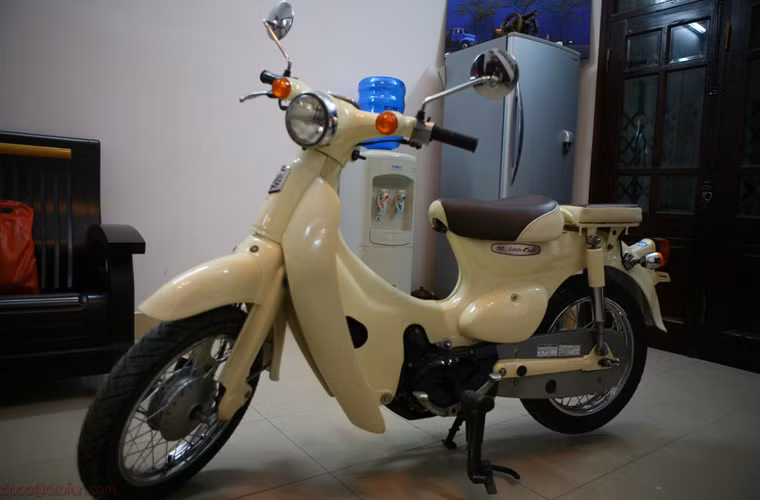 Kích thước tổng thể của Little Cub dài, rộng, cao của xe lần lượt là 1.800 mm, 66 mm và 1.000 mm. Đây là kích thước lý tưởng cho một mẫu xe chạy trên những con đường đông đúc.