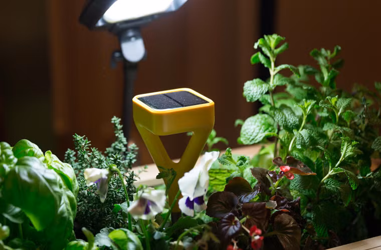 Cảm biến Edyn dành cho vườn tược được cấp nguồn bằng năng lượng mặt trời và có thiết kế bắt mắt. Công năng chính của máy là theo dõi tình trạng đất và cấp nước tự động cho vườn cây nhà bạn.