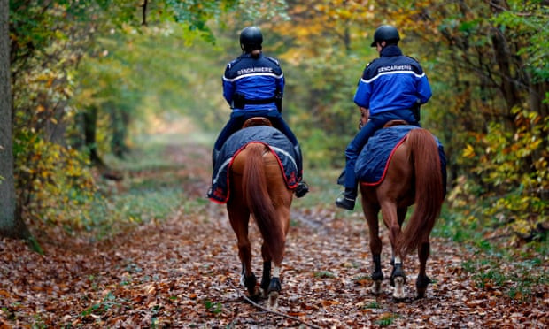 Di dao trong rung, co gai mang thai bi cho san can tu vong