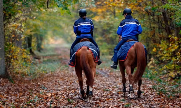 Di dao trong rung, co gai mang thai bi cho san can tu vong