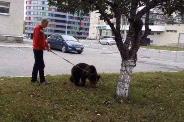 Loat hinh hai huoc, ky quac chi co o nuoc Nga khien ai cung ngo ngang-Hinh-7