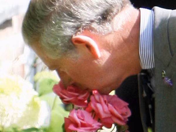 Khong ngo Thai tu Charles lai hai huoc, binh di den nhu vay-Hinh-13