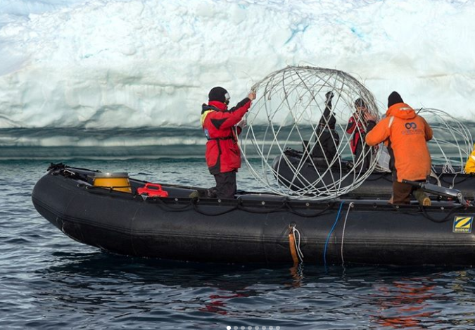 Vào năm 2017, các nghệ sĩ từ khắp nơi trên thế giới đã cùng nhau giới thiệu triển lãm nghệ thuật Antarctic Biennale.