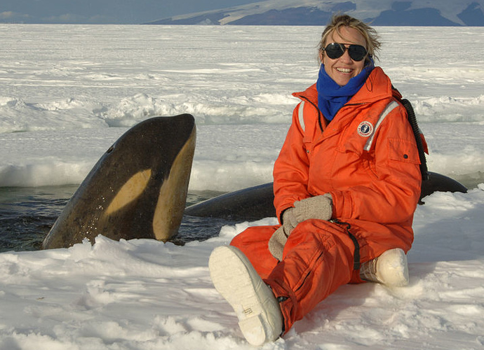 Du khách cũng có thể đăng ký để đi xem cá voi tại châu lục này.